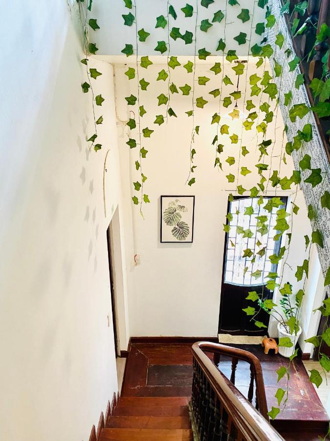 Tabi Homestay フエ エクステリア 写真
